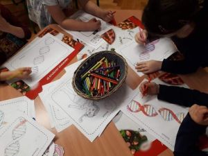 Sopron4_copy_1