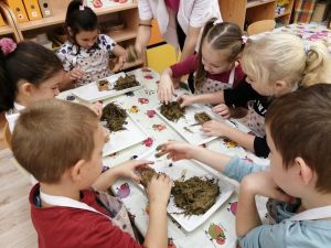 Szarvas4_copy_1